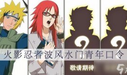 青年水门爆料视频大全,视频大全背后的惊人真相