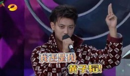 娱乐圈吃瓜听到心声了吗,深度解析明星幕后故事