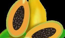 吃瓜贴纸素材下载网站免费,轻松下载，打造个性趣味生活